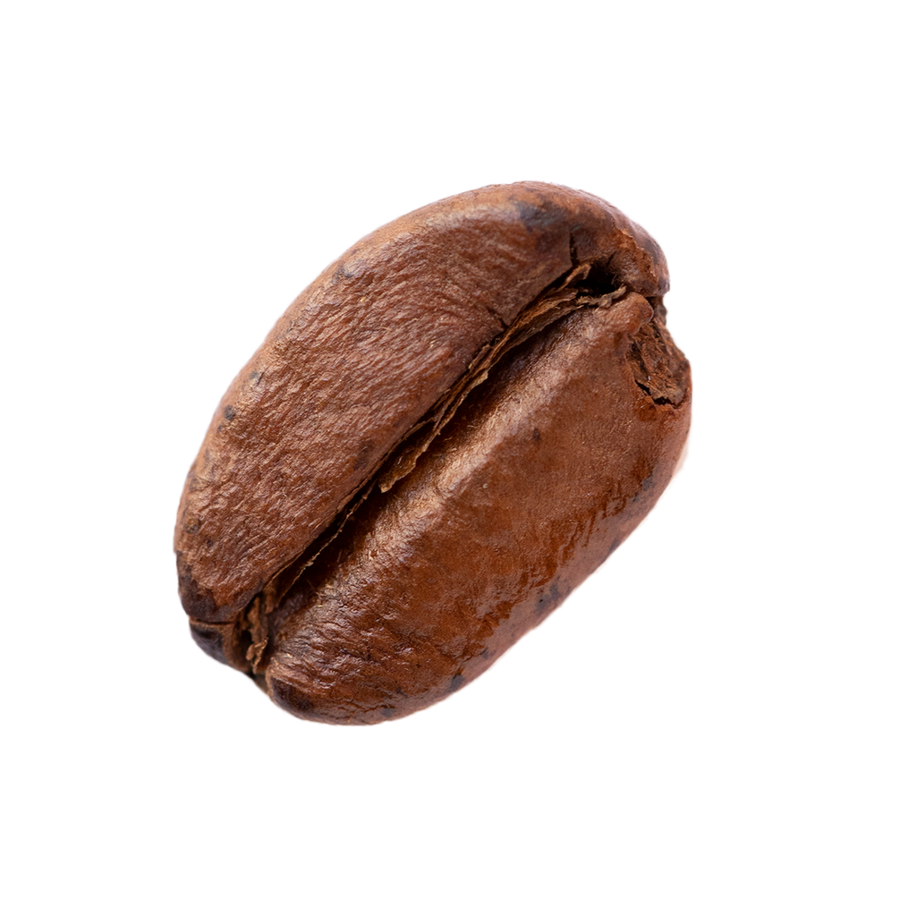 Café Antilles 5X