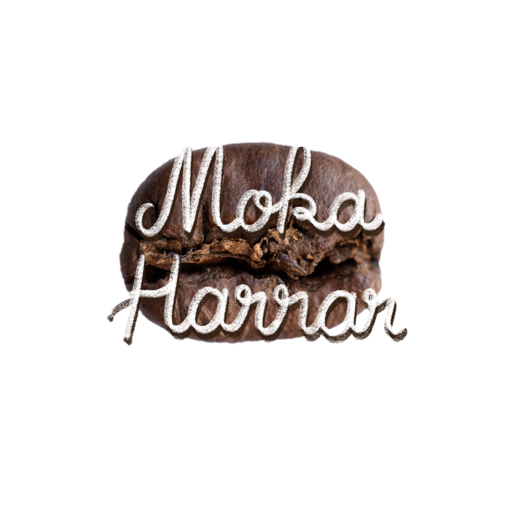 Café Moka Harrar